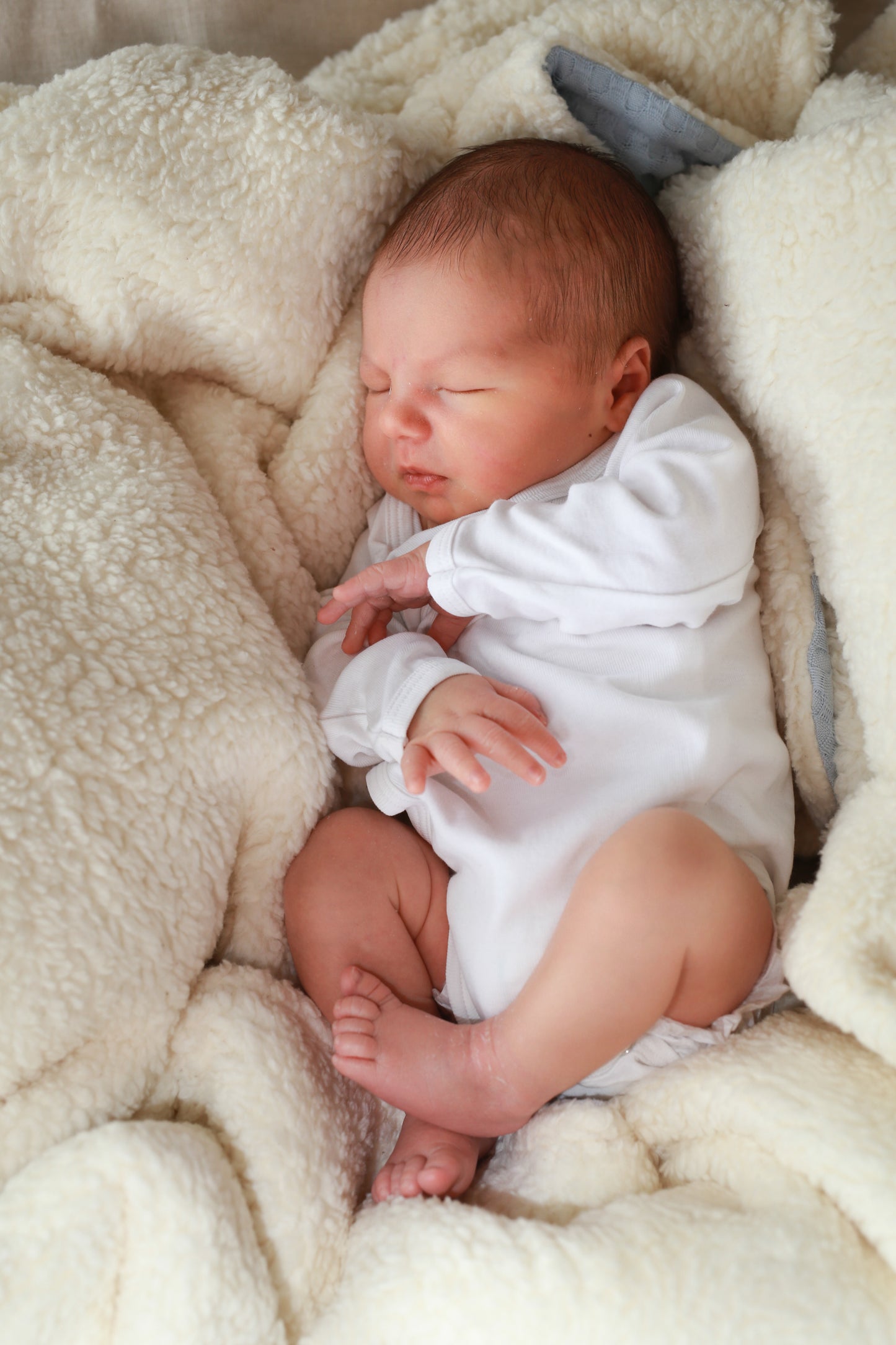 Teddy deken