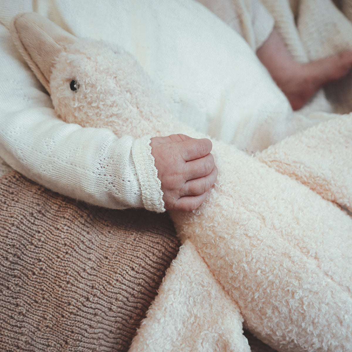 Hartslagknuffel eend